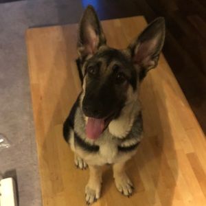 Meet your Posher, Lindsey